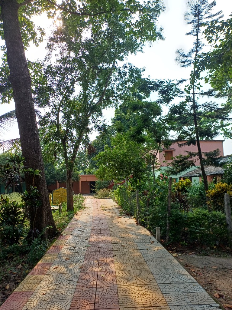 Tiled walkway through trees and landscaped grounds on the school campus